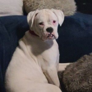 Meet your Posher, Tundra's Threads